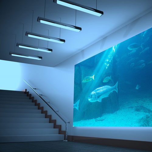 Eentretien professionnel