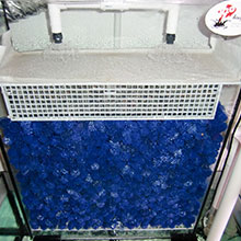 Gallerie - H²O Design inc.