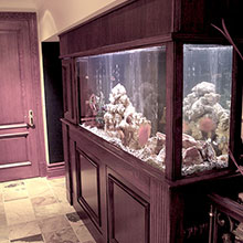 Gallerie - H²O Design inc.