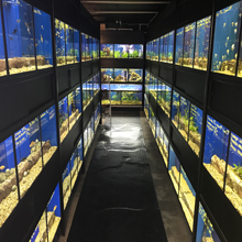 Gallerie - H²O Design inc.