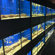 Gallerie - H²O Design inc.