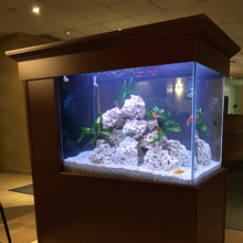 Gallerie - H²O Design inc.